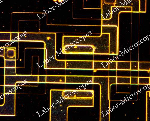 Фото с микроскопа ЛабоМет 50 крат темное поле