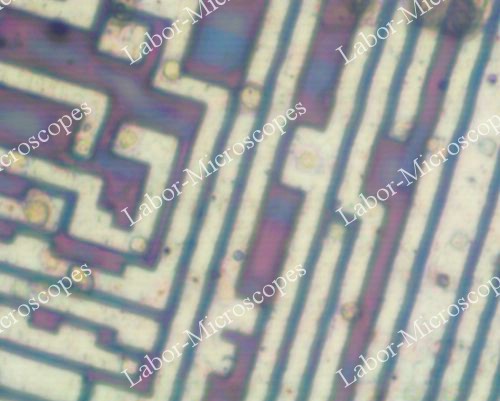 Фото с микроскопа ЛабоМет 5 крат светлое поле